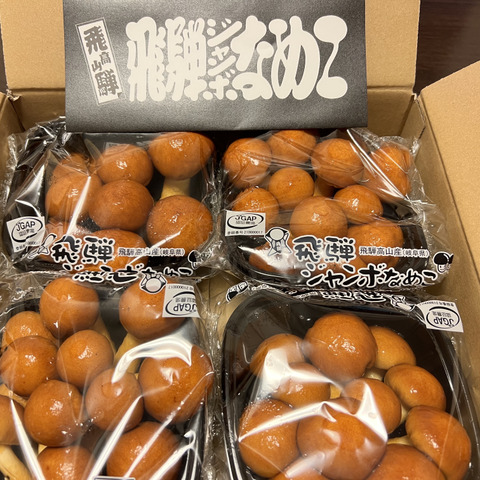 4パック入】『飛騨高山』飛騨ジャンボなめこ約180g×4パック入り：岐阜