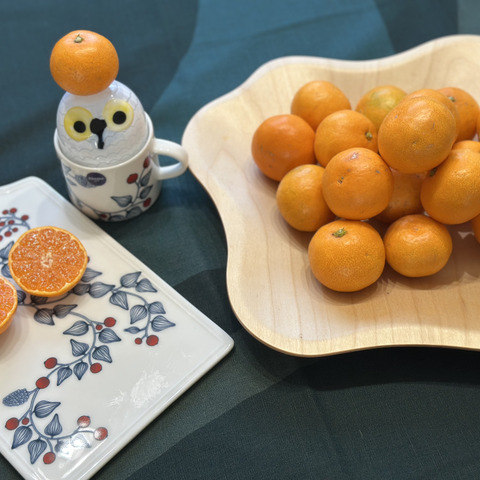 10キロ箱 濃厚小玉みかん(家庭用)【和歌山県有田産みかん】：和歌山県