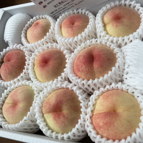 ご家庭用】白鳳（2kg箱）：岡山県産の白桃｜食べチョク｜産地