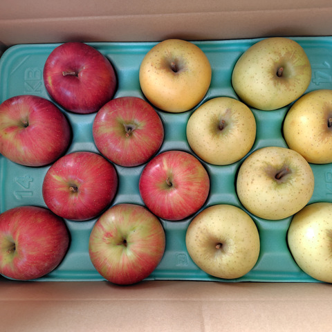 1/21●信州・シナノスイート＆不知火 シナノスイート&シナノゴールド食べ比べセット♡信州りんご人気品種