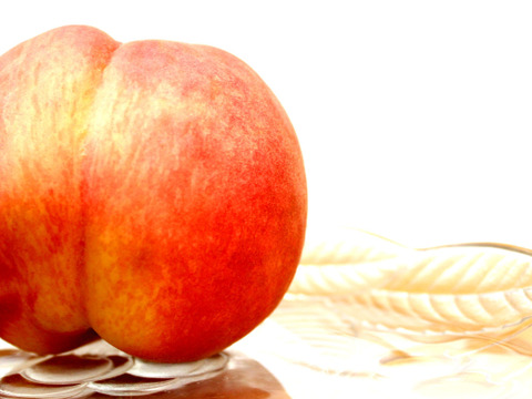 【父の日ギフト】予約 【糖度14度以上保証】”まるでスイーツ”感動桃 12玉前後約1.3kg