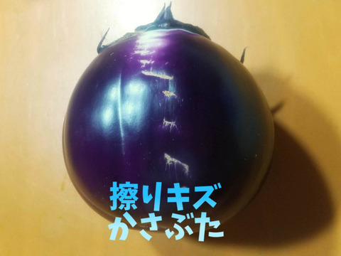 【訳あり】BBQにも！イタリア紫丸ナス『ビステッカ』3個