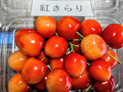 さくらんぼ紅シリーズ4点セット：山形県産の紅秀峰｜食べチョク｜産地