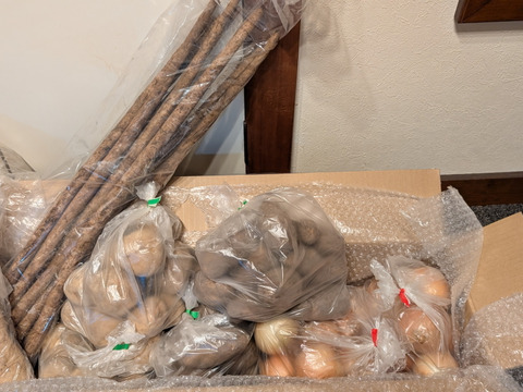 ☆お待たせしました☆令和7年産🥔🧅山田敏彦【十勝のGOODなセレクト野菜】セットA 合計約13kg