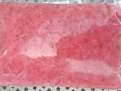 【たっぷりゆめのかピューレ1000ｇ】佐賀県太良町産いちごピューレ冷凍パック1000ｇ