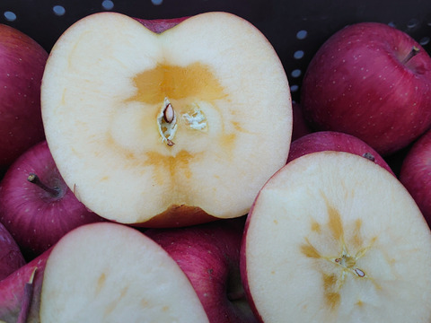 ゲリラSAIL！30％off長野県認証栽培のサンふじ3ｋｇ