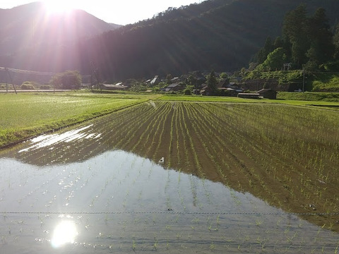 自然を大切に栽培した米粉　2.7kg【900g✕3個】京都・美山産