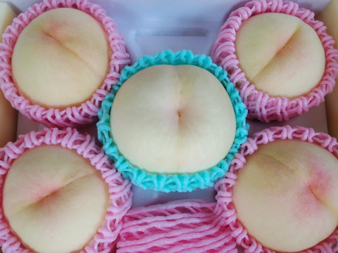 【2025年先行予約】　
　清水白桃/白鳳  【ご家庭用】【朝どれ】【樹熟🍑】2㎏化粧箱でお届け！