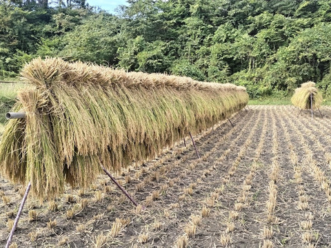 【農薬・化学肥料不使用】信州伊那谷★満月餅(切り餅10枚入り×2パック)