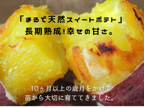 【2種食べ比べセット】シルクスイート・紅はるか土付き（2kg）500gずつ個包装