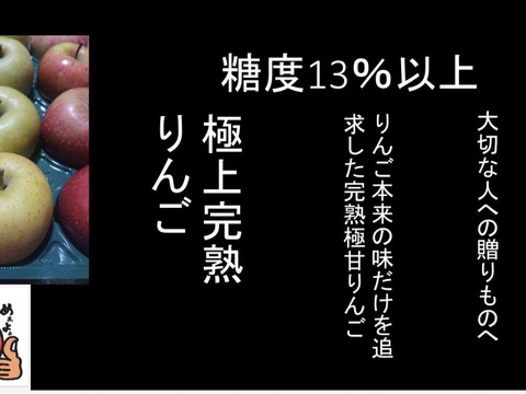 青森県弘前市産りんご 『匠の味』 「糖度１３%以上保証」 蜜入り完熟葉とらずサンふじ、王林ミックス約３kg11個入り