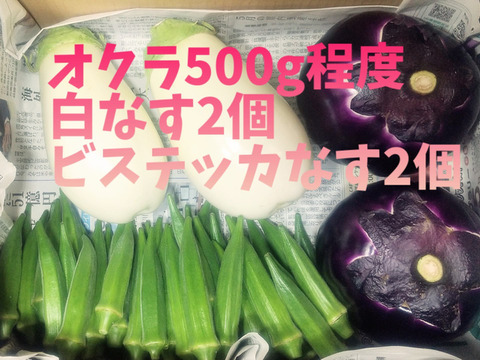 オクラ&人気のとろける食感ナスセット(とろーり旨なす&ビステッカ)【さぬき讃ベジタブル】