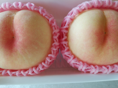 【2025年先行予約　贈答用】【夏ギフト】【朝どれ】くだもの王国おかやま よりお届け！　　白鳳/末木白桃/紅清水白桃