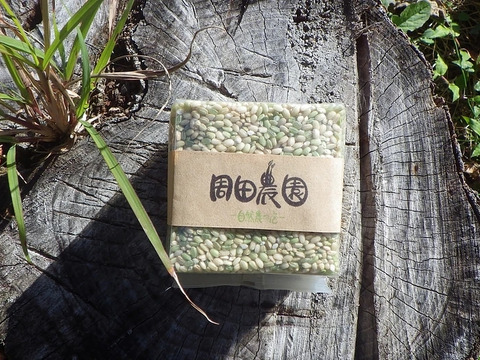 緑米　玄米　300ｇ(3個セット　900g）