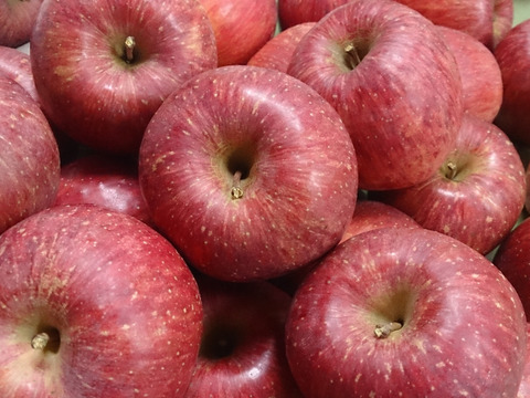 【母の日ギフト】サンふじ限定ちょっとお得！！金の蜜】リンゴジュースサンふじ３本セット！りんごといえば、やっぱりこれ！