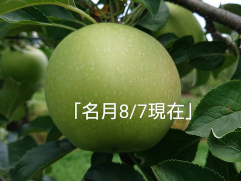 最終です。！「名月約3kg入り」生産者が大好きなりんごです。甘みが強い品種、黄色のボディに頬紅を付けた見た目も愛らしいんですよ。