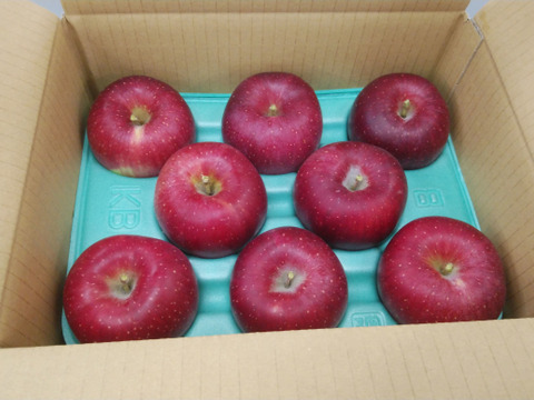 リンゴの王様『サンふじ』ご家庭用秀品約5kg　りんごといえばやっぱりふじ！！