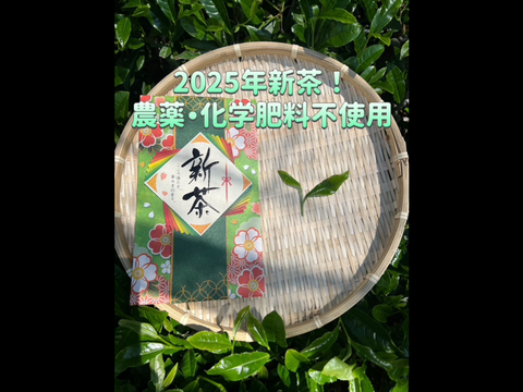 無農薬】【新茶】伝統とこだわりの味！深蒸しかぶせ茶ティー
