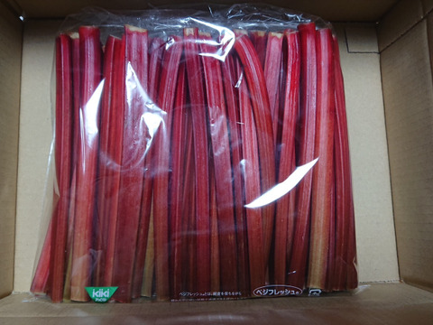 ★ルバーブ買うなら今です★涼しくなり真っ赤になった真紅のルバーブ★【八ヶ岳山麓朝採り新鮮な赤ルバーブ１Kg】＝手作りジャムに最適＝長野県茅野産＝