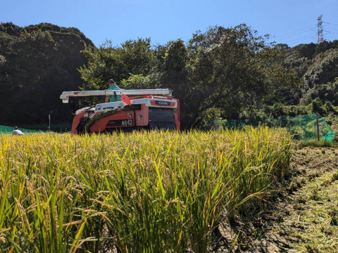 【令和7年新米】森のくまさん（白米10kg）節減対象農薬：栽培期間中不使用