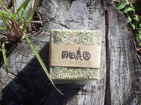 緑米 玄米 300g(10個セット 3kg)