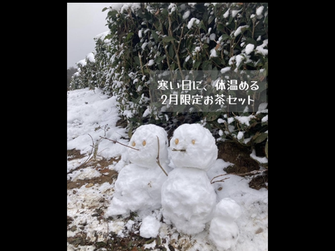 ＊2月のお茶セット＊国産ブレンドティー5種類飲み比べセット　和紅茶、ジンジャーほうじ茶、小豆玄米茶　各10個入り　かぶせ茶柚子、黒文字ほうじ茶　各5個入り　(計40個入り)