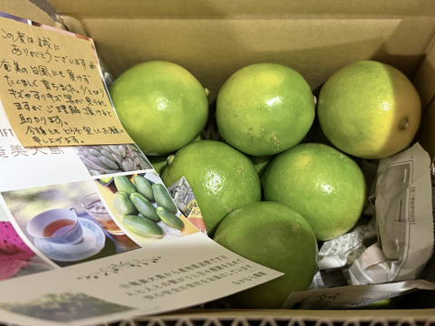 売れ筋がひ！ 農薬不使用！】マイヤーレモン 6個 早い ゆうパケットプラスにて 果物