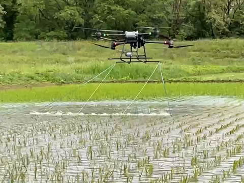 【令和７年産】栽培期間中農薬不使用　コシヒカリ　白米　10kg