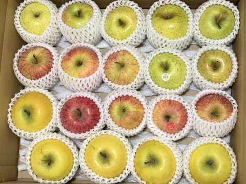 農薬5割減・化学肥料不使用の特別栽培りんご🍎🍏おまかせりんご3種食べ比べ5kg🍎🍏 訳ありご家庭用 りんご詰合せ 化学肥料不使用 青森県特別栽培認証 皮ごとおいしい🍴