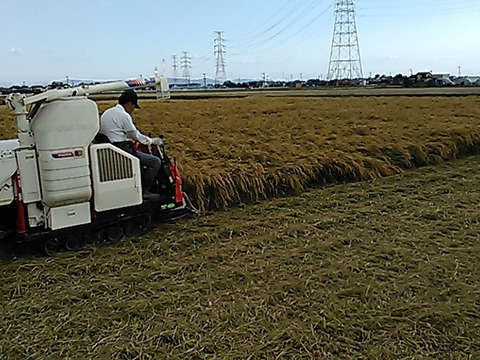 放し飼いのロイヤル健康たまご(特定飼育卵)