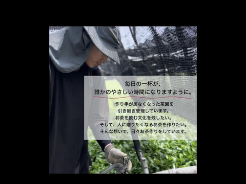 ＊2月のお茶セット＊国産ブレンドティー5種類飲み比べセット　和紅茶、ジンジャーほうじ茶、小豆玄米茶　各10個入り　かぶせ茶柚子、黒文字ほうじ茶　各5個入り　(計40個入り)