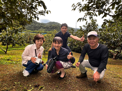 2025予約販売】合格祈願！ 合格柿！花御所柿(5角形) 大工の作る杉の箱入り！：鳥取県産の御所柿｜食べチョク｜産地直送(産直)お取り寄せ通販 -  農家・漁師から旬の食材を直送