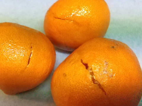 《みかんのある暮らし》三代目の月替わり定期便3kg~5kg+α
