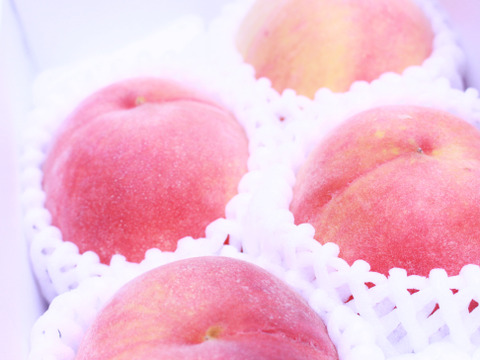 ７月上～22日予約【糖度13度以上保証】「白鳳桃」【超王道桃】当園８品種目 約600g3-4玉入