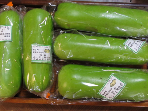 食用ヒョウタン　蒲瓜　4キロ　2000円