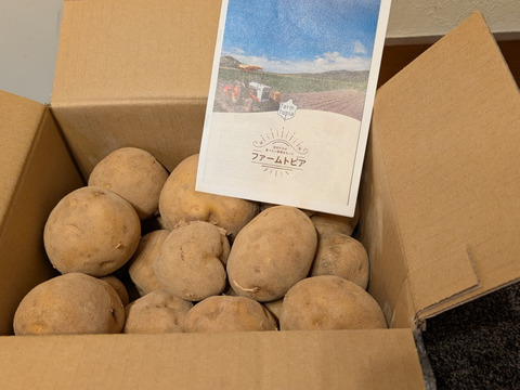 北海道産とうや5