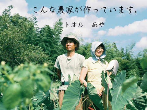 ワクドキ【奇抜度中級】やさいのお便り