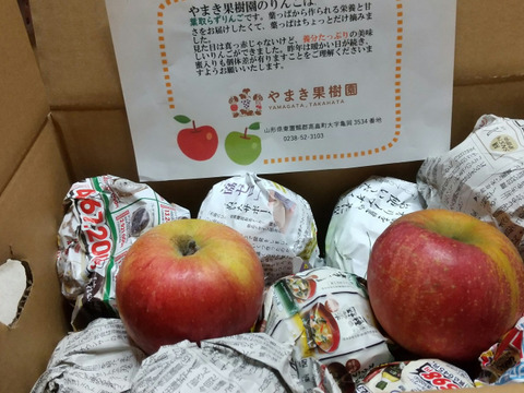 加工用に！山形高畠産葉取らずふじりんご🍎😋小玉や色薄いりんご🍎でも甘いです。ふじりんご5キロ箱バラ詰め😊