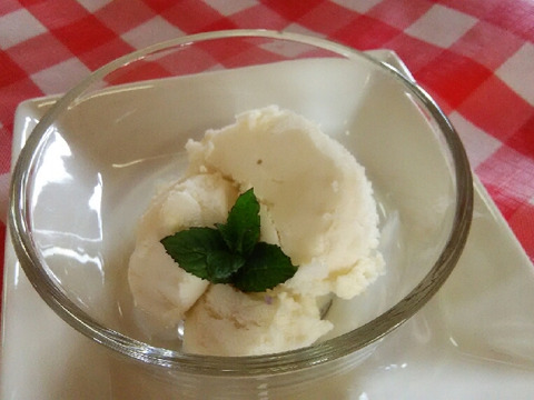 果汁たっぷりアイスクリーム10個セット〔ブルーベリー５個りんご５個入〕