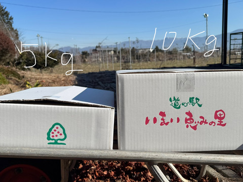 【お待たせしました！】標高730ｍの果樹園からお届け！信州松本育ちのサンふじ🍎りんご　(5kg)【訳アリ】