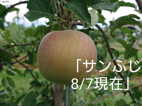 安曇野市推奨ブランドサンふじで作った角切り果肉入りジャムです。芳醇な香りと自然の甘さをお楽しみ下さいませ。ちょっとしたお礼にも最適です。
