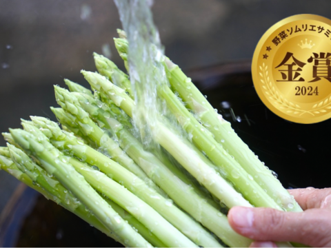 【夏ギフト】生でも食べれる湧水で育てたアスパラガス 500g佐賀県伊万里産