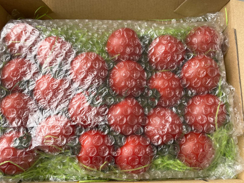 【岐阜県産】得トク！ミディトマト🍅0.8㎏