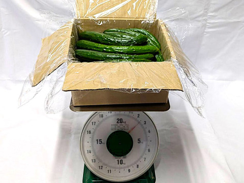 朝採り‼こだわり‼埼玉県産春きゅうり‼訳ありお徳用(約2.5㎏)