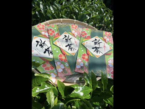 アメリカ通販ファッション 新茶＊2025年産【苦くない緑茶】伝統とこだわりの味！まろやかな 茶