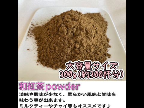 大学生協 割引 たっぷり大容量サイズ＊【溶かすだけ簡単パウダータイプ】華やか 茶