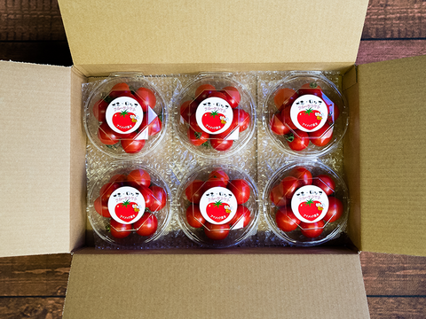 【市民セレクション受賞】贈り物に最適！フルーツトマト『ポモロッサ6パック入』
