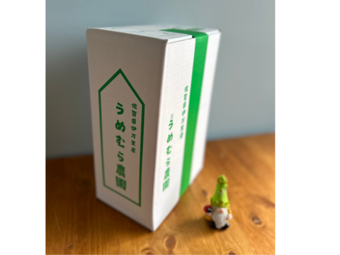 生でも食べれる湧水で育てたアスパラガス 1kg佐賀県伊万里産　サイズミックス