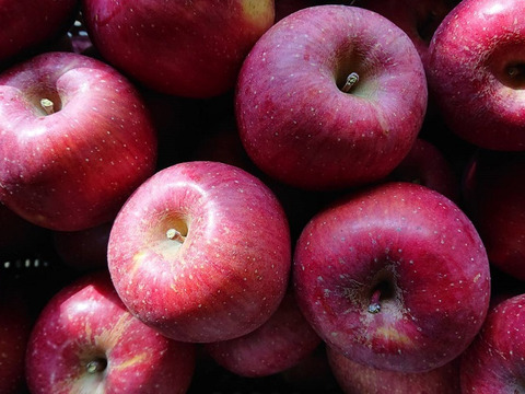 安曇野市推奨ブランドサンふじで作った角切り果肉入りジャムです。芳醇な香りと自然の甘さをお楽しみ下さいませ。ちょっとしたお礼にも最適です。