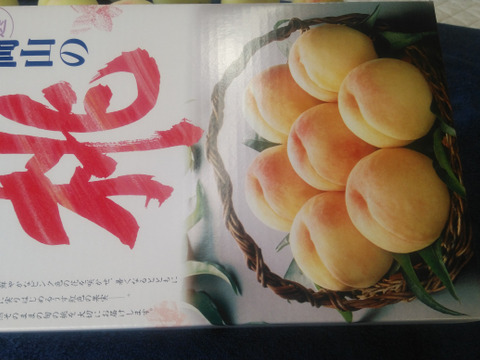 2025年先行予約　【贈答用】　【夏ギフト】【朝どれ】【樹熟🍑】くだもの王国おかやま よりお届け！
清水白桃/おかやま夢白桃/　なつごころ/なつおとめ/末木白桃/白麗